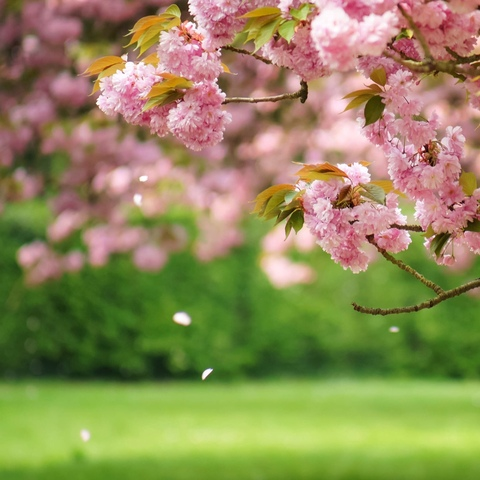 Leaked evegold header onlyfans leaked