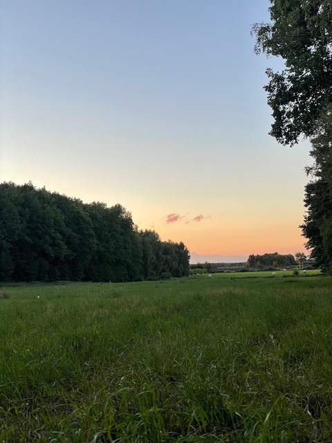 Leaked evencyrie header onlyfans leaked