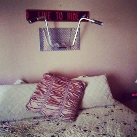 Leaked evilecho header onlyfans leaked