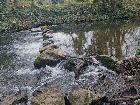 Leaked explosionoff61 header onlyfans leaked