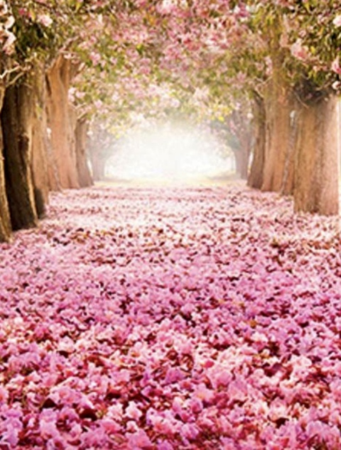 Leaked eyeswideshutx header onlyfans leaked