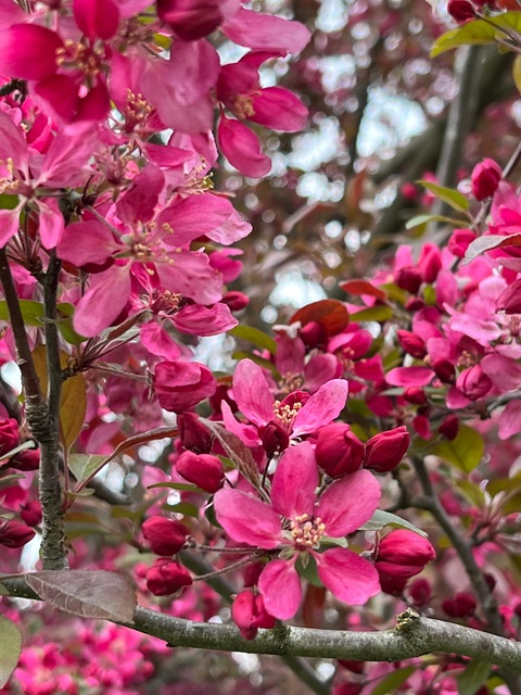 Leaked fairfreckledfeisty header onlyfans leaked