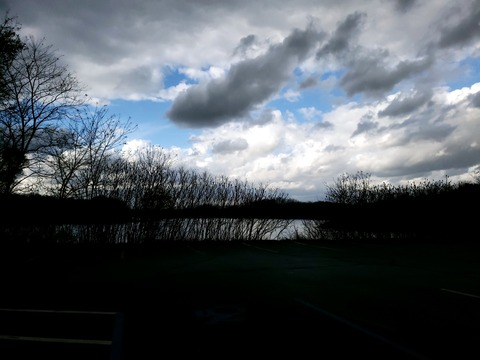 Leaked fat_kitten header onlyfans leaked