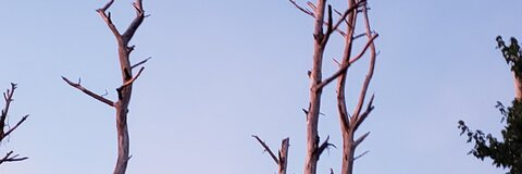 Leaked fatcheeks247 header onlyfans leaked