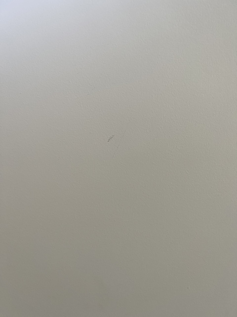 Leaked felicityrosebaker header onlyfans leaked