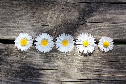 Leaked ferduran header onlyfans leaked