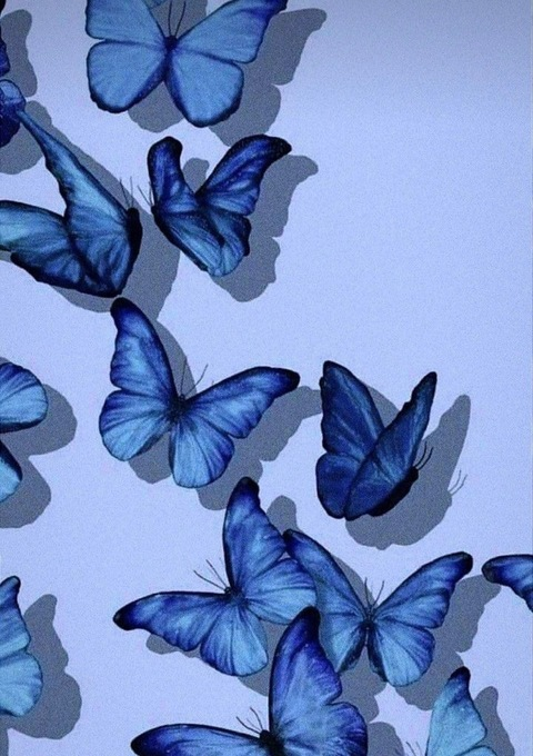 Leaked ferxxaml header onlyfans leaked