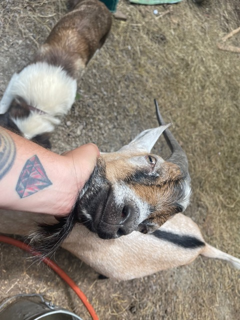 Leaked fffx420 header onlyfans leaked