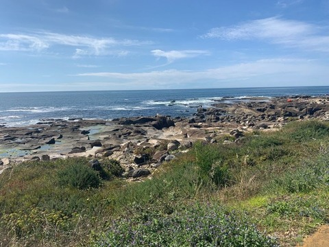 Leaked fingerstyle1221 header onlyfans leaked