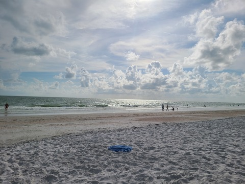 Leaked fitnesslioness header onlyfans leaked