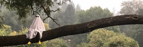 Leaked flamepointboy header onlyfans leaked