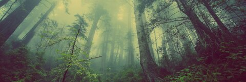 Leaked flexed header onlyfans leaked