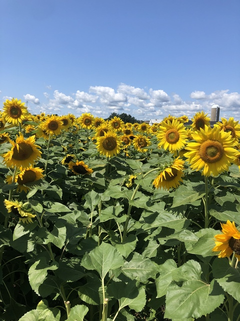 Leaked foreignqueen header onlyfans leaked