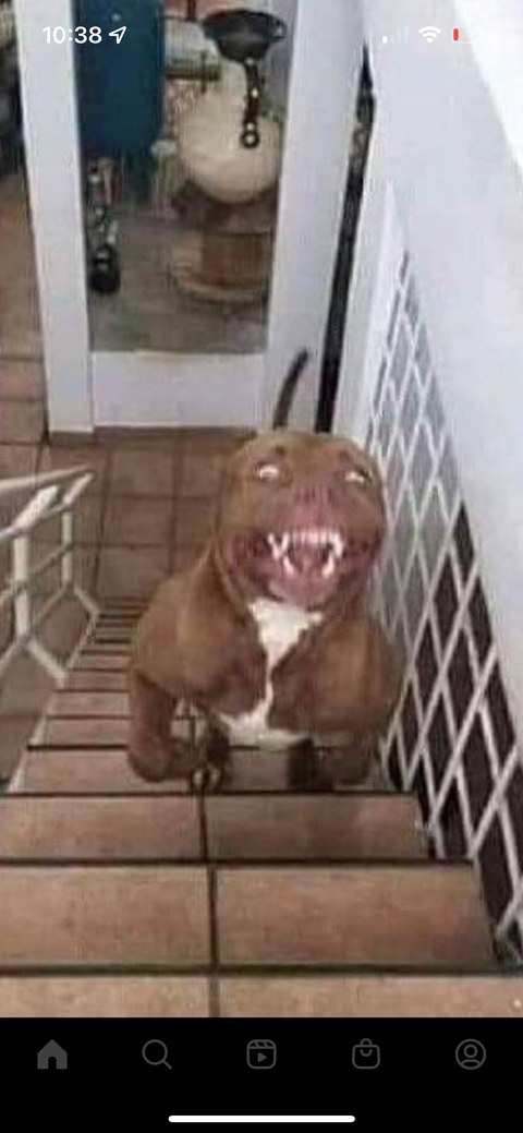 Leaked francizbballin69 header onlyfans leaked