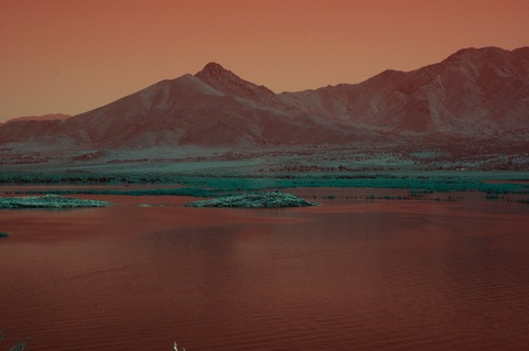 Leaked frankii header onlyfans leaked