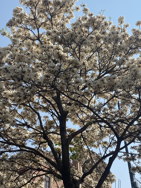 Leaked freenak3dmaria header onlyfans leaked