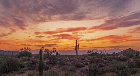 Leaked fun_underthesun header onlyfans leaked