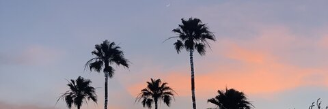 Leaked fvckhxney header onlyfans leaked