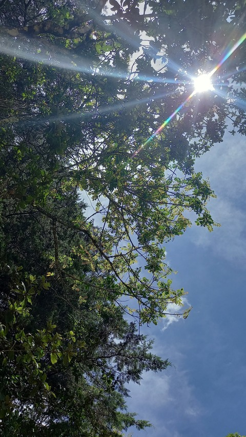 Leaked gabriel2.00.1 header onlyfans leaked