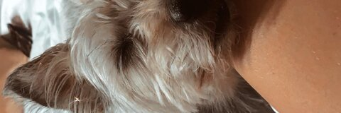 Leaked geebaaaker header onlyfans leaked