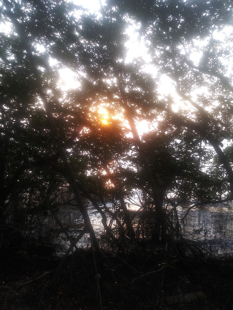 Leaked georgiapeach939 header onlyfans leaked