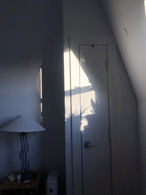 girlbug onlyfans leaked picture 2