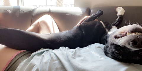 Leaked glennycoco13 header onlyfans leaked