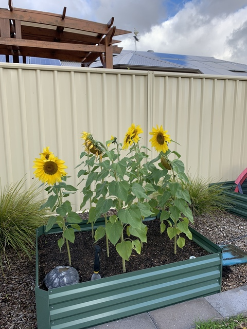 Leaked glump header onlyfans leaked