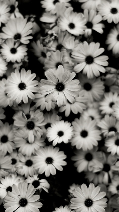 Leaked gmaha header onlyfans leaked