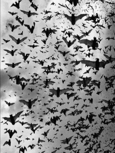 Leaked gothicprincess69 header onlyfans leaked