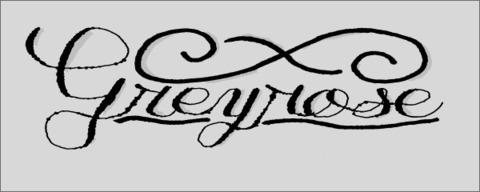 Leaked gr3yr0s3 header onlyfans leaked