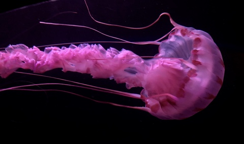 Leaked gravygirl header onlyfans leaked