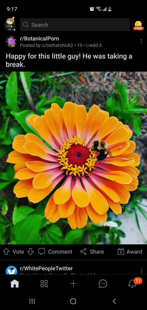 Leaked greeenqueen header onlyfans leaked