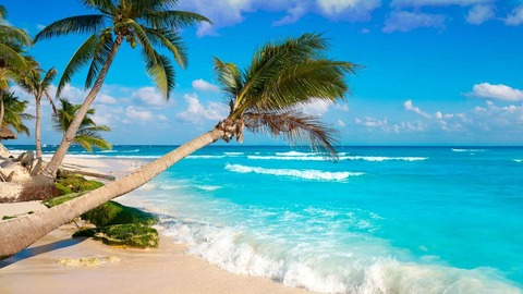 Leaked guniofree header onlyfans leaked