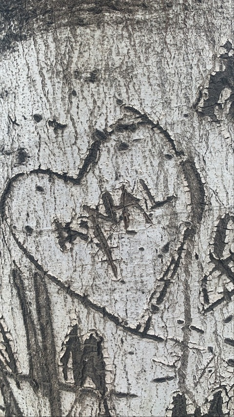 Leaked gutterbratt header onlyfans leaked