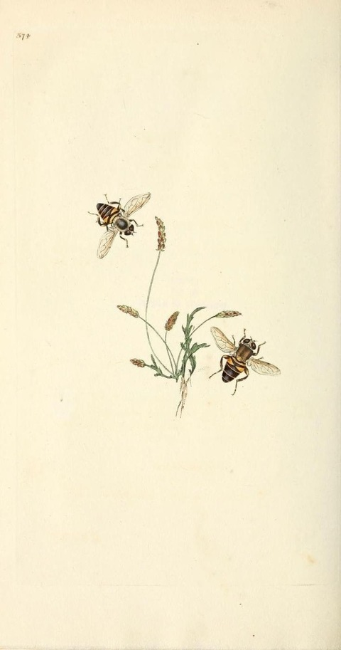 Leaked gypsuwu header onlyfans leaked