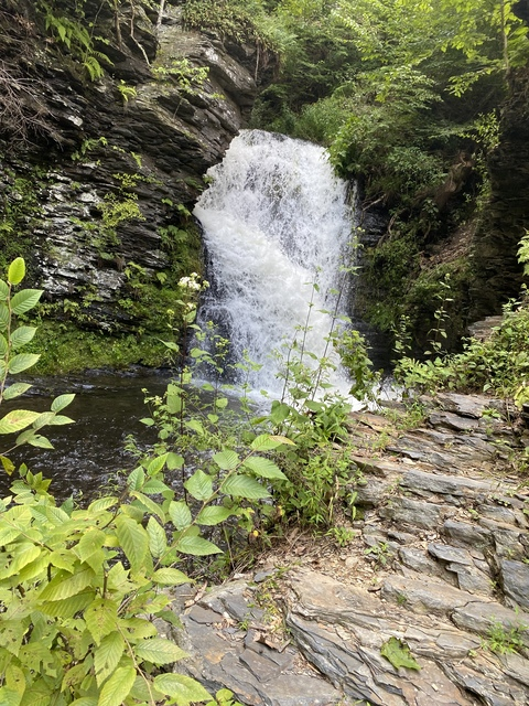 Leaked hank_dawg header onlyfans leaked