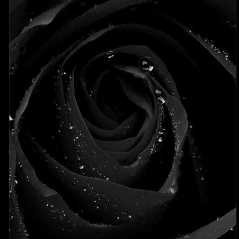 Leaked happyguye header onlyfans leaked