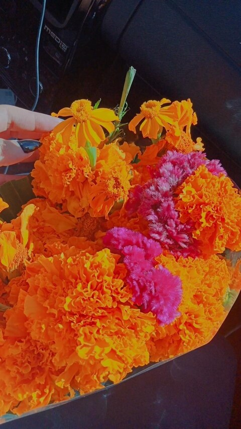 Leaked hardxcandy7 header onlyfans leaked