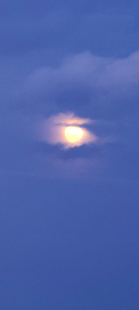 Leaked hazel.baby69 header onlyfans leaked