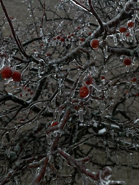 Leaked heavymetalbaby header onlyfans leaked