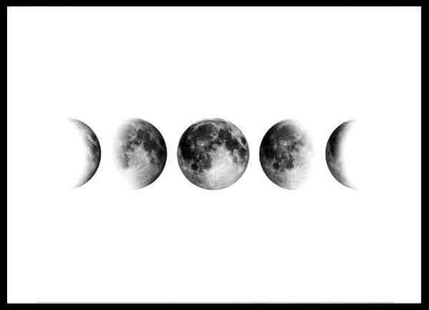 Leaked heeralexi header onlyfans leaked