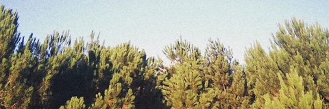 Leaked hellishxboy header onlyfans leaked