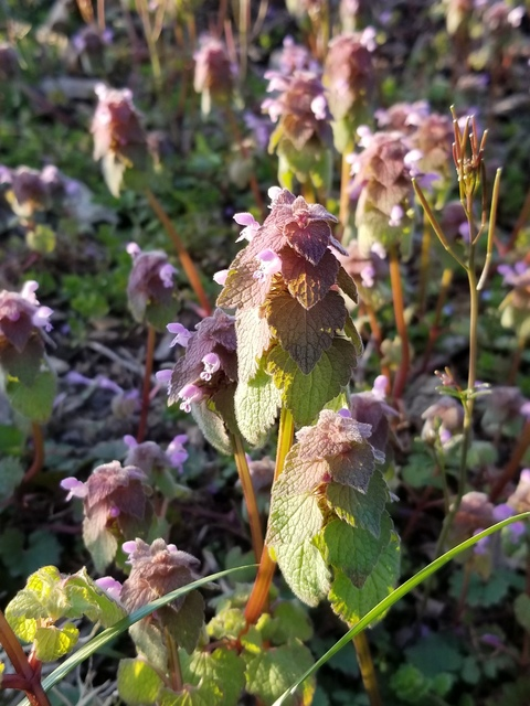 Leaked hexakush header onlyfans leaked