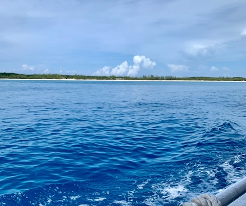 Leaked heydahlia header onlyfans leaked