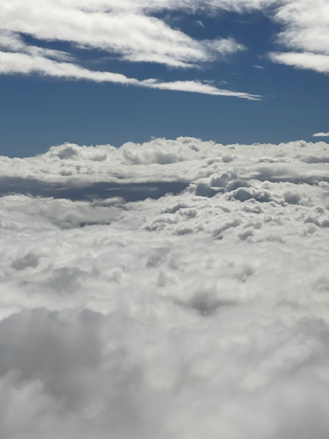 Leaked hhhaleyrosse header onlyfans leaked