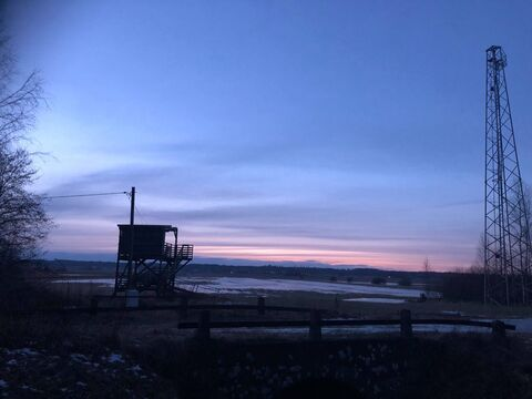 Leaked hiyamikaela header onlyfans leaked