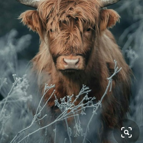 Leaked hollymadelin333 header onlyfans leaked