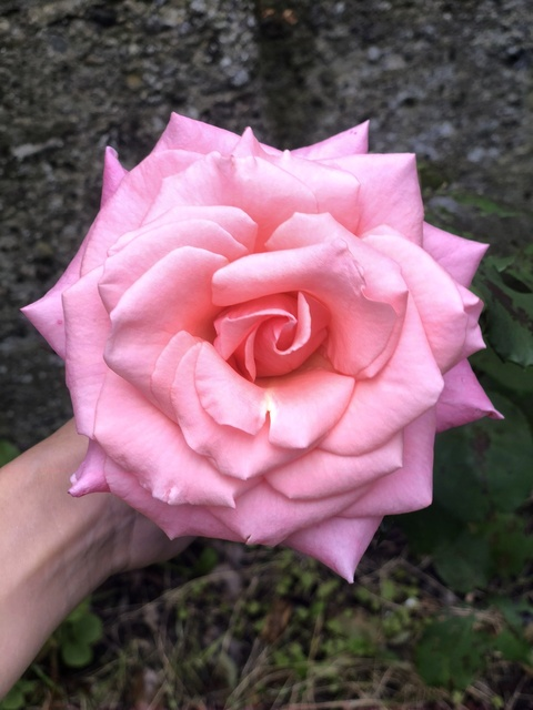 Leaked holymotherofgod header onlyfans leaked