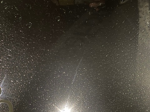 Leaked honey_bee_x header onlyfans leaked